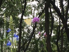 -西湖风景区-江洋畈生态公园