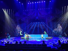 -珠海横琴长隆《卡卡虎奇遇记》