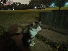 -广州雕塑公园
