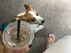 -T-COFFEE(长江花园店)