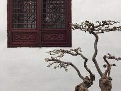 -个园
