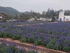 -玫瑰海岸文化旅游度假区