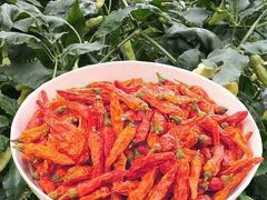 -莲塘味宝园牛杂(天越翔园店)