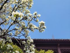 -郑和公园