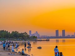 -瑶湖郊野森林公园