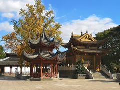 -上海东林寺(金山区)