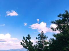 -牛背梁国家森林公园
