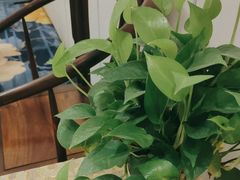 -徽宴楼·玫瑰之约(祥源店)