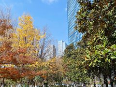 -钱江新城