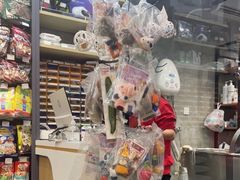 -PETKIT 小佩宠物·低压洗护·美容·寄养(安远店)