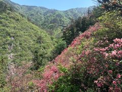 -木兰云雾山