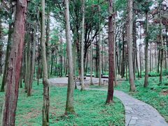 -象山森林公园
