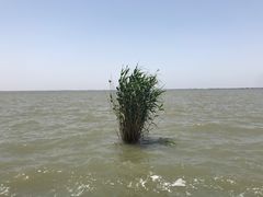 -东方绿舟景区