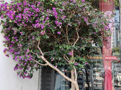 -湘阁里辣(沙井华润万家店)