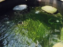 -顺景温泉