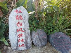 -广东惠东海龟国家级自然保护区
