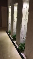-紫颖·专业美胸·连锁养护中心