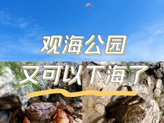 -南汇嘴观海公园