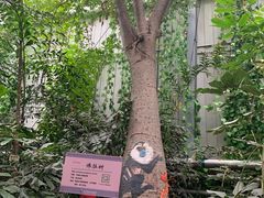 -呀路古热带植物园