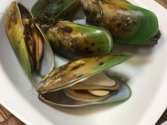 -無鱼鳞比