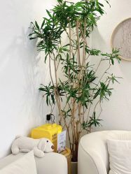 -唯奈斯肌肤管理中心