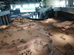 -自贡恐龙博物馆