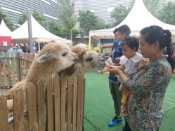 -萌宠亲子动物乐园(槐房万达店)