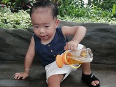 -美的鹭湖森林度假区