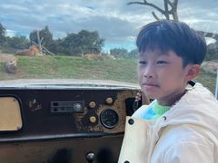 -威勒比开放式动物园