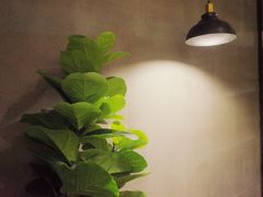 -1861意大利餐厅(文化广场店)