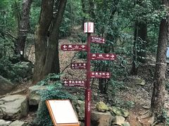 -岳麓山风景名胜区