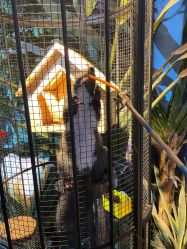 -酷嗒动物文化乐园(cutezoo西溪乐天城店)