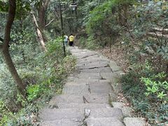 -杭州半山国家森林公园