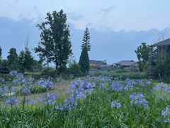 -中国天府农业博览园