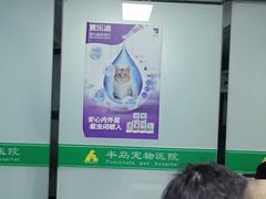 -半岛宠物医院24小时(科华中路店)