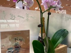-一叶一世界•素食餐厅(新光天地店)