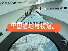 -中国湿地博物馆