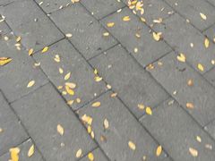 -千日贺茶餐厅(高新万达店)