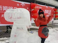 -沈阳奥体冰雪嘉年华