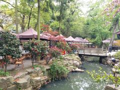 -兴福老面馆(寺路街店)