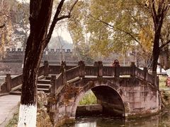 -桂湖森林公园