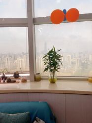 -瓷肌博士·祛痘科技美肤