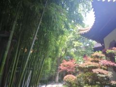 -清心素食自助餐厅(夫子庙店)