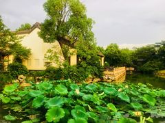 -杭州西子湖四季酒店·金沙厅