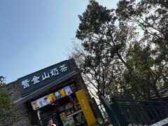 -紫金山山顶公园