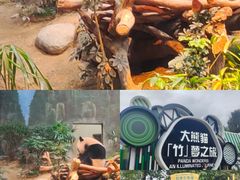 -香港海洋公园