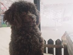 -赢吧Bliss音乐酒吧