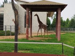 -石家庄市动物园