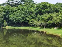 -东莞植物园