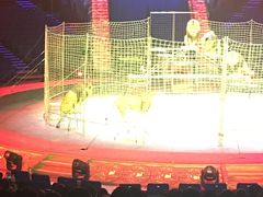 -珠海横琴长隆《卡卡虎奇遇记》